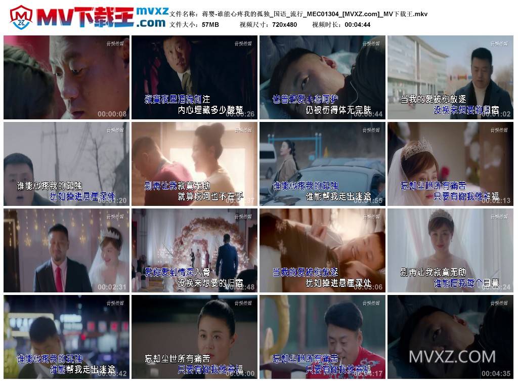 蒋婴-谁能心疼我的孤独_国语_流行_MEC01304